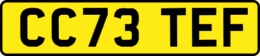 CC73TEF