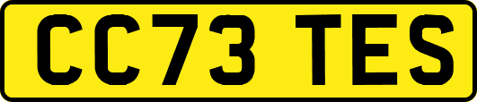 CC73TES