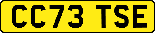 CC73TSE