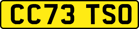 CC73TSO