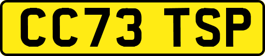 CC73TSP