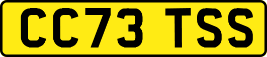 CC73TSS