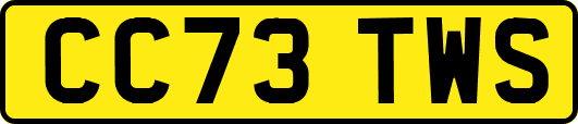 CC73TWS