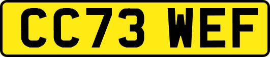 CC73WEF