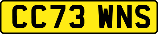 CC73WNS