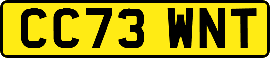 CC73WNT