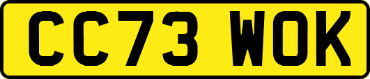 CC73WOK