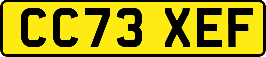 CC73XEF
