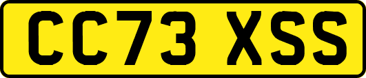 CC73XSS