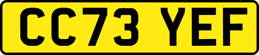 CC73YEF