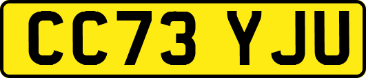 CC73YJU