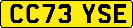 CC73YSE