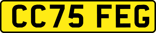 CC75FEG