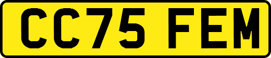 CC75FEM