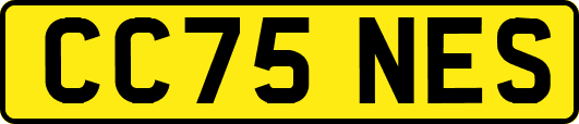 CC75NES