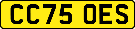 CC75OES