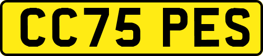 CC75PES