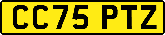 CC75PTZ