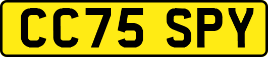 CC75SPY