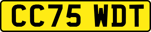 CC75WDT