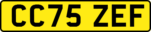 CC75ZEF
