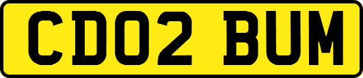 CD02BUM