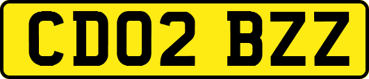 CD02BZZ