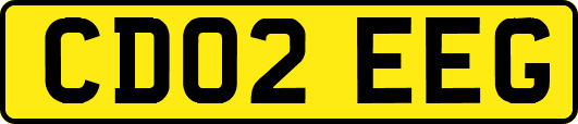 CD02EEG