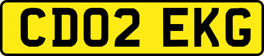 CD02EKG
