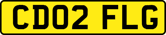 CD02FLG