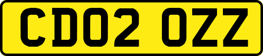 CD02OZZ