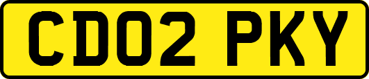 CD02PKY
