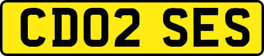 CD02SES