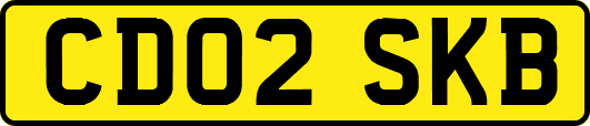 CD02SKB