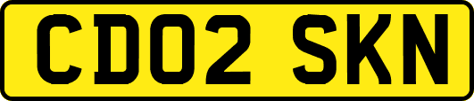 CD02SKN
