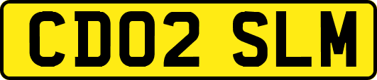 CD02SLM