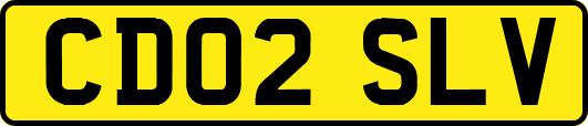 CD02SLV