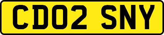 CD02SNY