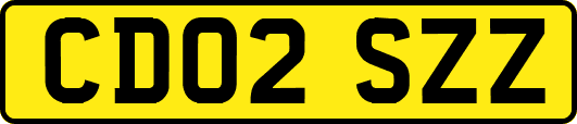 CD02SZZ