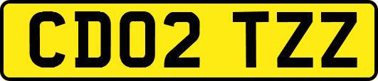 CD02TZZ