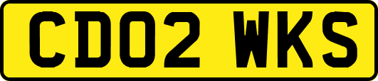 CD02WKS
