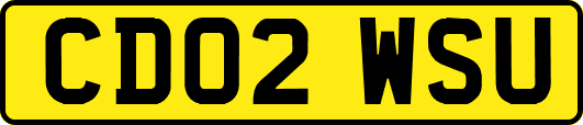 CD02WSU