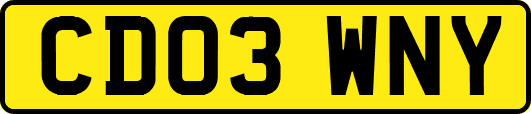CD03WNY