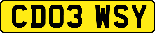 CD03WSY