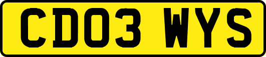 CD03WYS