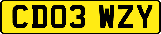 CD03WZY