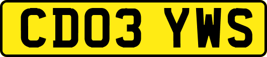 CD03YWS