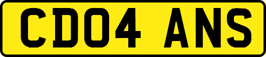 CD04ANS