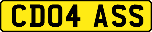 CD04ASS