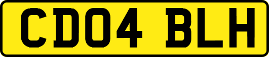 CD04BLH
